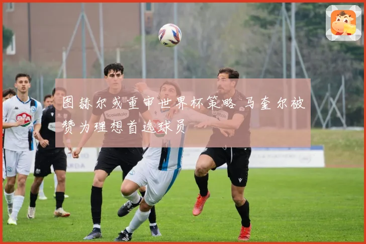 图赫尔或重审世界杯策略 马奎尔被赞为理想首选球员